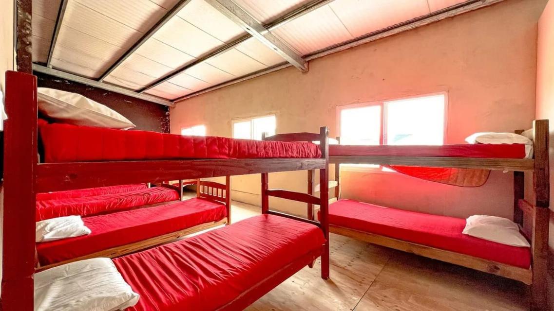 La Maquinita Hostel مار ديل بلاتا المظهر الخارجي الصورة
